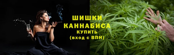 ГАЛЛЮЦИНОГЕННЫЕ ГРИБЫ Вуктыл