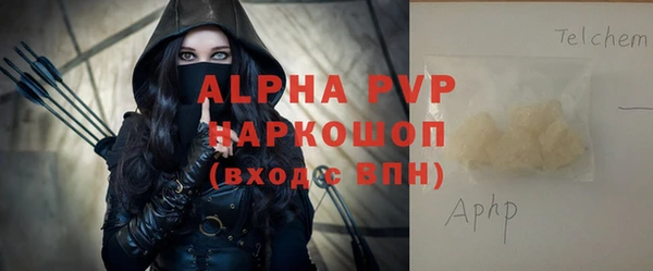 шишки Новозыбков