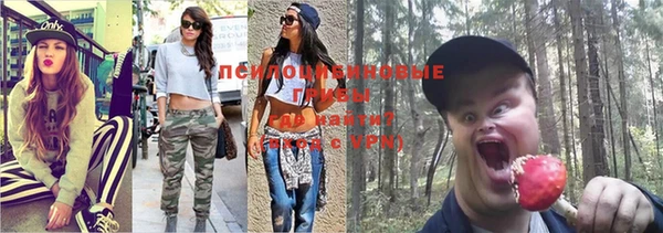 тгк Алексеевка
