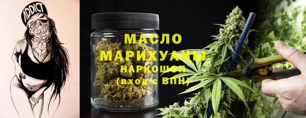 шишки Новозыбков