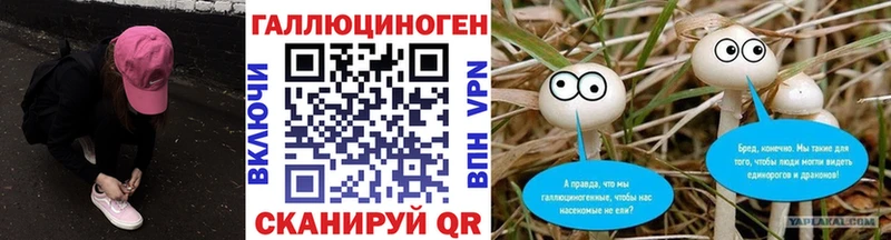 Псилоцибиновые грибы MAGIC MUSHROOMS Щигры