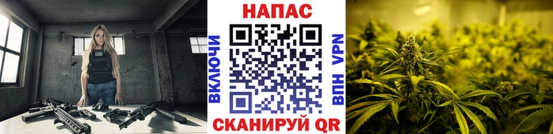 Бошки Шишки гибрид  Щигры 